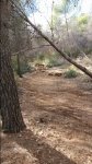 IMG-20160914-WA0014.jpeg