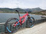 firebird presa.JPG