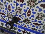 IMG_20160917_161307.jpg