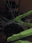 IMG_20160917_174417.jpg