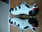 DSC06503.JPG