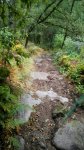 IMG_20160917_142335.jpg