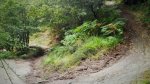 IMG_20160917_142531.jpg