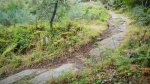 IMG_20160917_142613.jpg