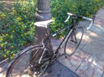 IMG_20160918_133523-01.jpeg