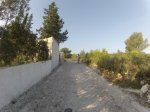 FILE0061.JPG