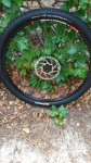 IMG-20160918-WA0006.jpg