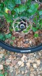 IMG-20160918-WA0009.jpg