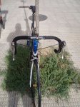 P1010010.JPG
