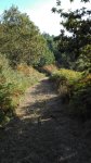 IMG_20160919_185112.jpg