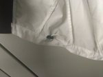 IMG_20160919_191246.jpeg