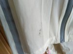 IMG_20160921_125459.jpeg