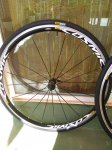 IMG_20160921_155445.jpg