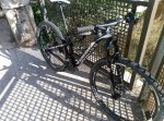 IMG_20160608_183656.jpg