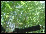 dsc02215.jpg