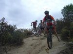 dsc04825__medium_.jpg