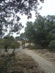 dsc04831__medium_.jpg