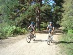 dsc04901__medium_.jpg