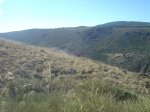 dsc04945__medium_.jpg