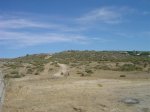 dsc04954__medium_.jpg