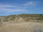 dsc04952__medium_.jpg