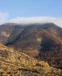 _MG_4287.jpg