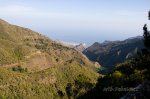 _MG_4316.jpg