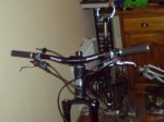 DSC00486_res.jpg