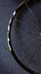 IMG_20160922_174255.jpg