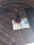 20160922_155025.jpg
