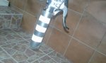 20160924_192720.jpg
