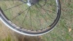 20160925_182231.jpg