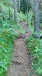 IMG_20160903_192914.jpg
