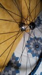 20160927_092538.jpg
