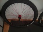 IMG_20160928_090012.jpg