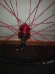 IMG_20160928_085954.jpg