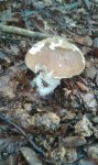 IMG-20160928-WA0005.jpg