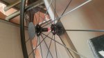 20160928_145619.jpg