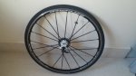 20160928_131413.jpg