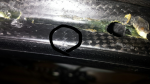 20160928_222214.png