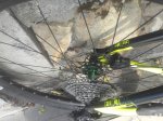 20160929_152612.jpg
