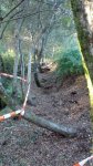 IMG_20160927_185647.jpg