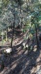 IMG_20160929_185941.jpg