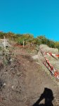 IMG_20160927_190440.jpg