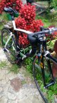 IMG-20160926-WA0002.jpg