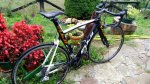 IMG-20160926-WA0001.jpg