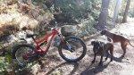20161002_170646.jpg