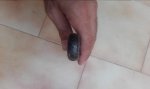 20161003_151114.jpg