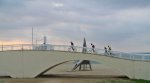 DSC_8356.JPG