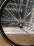 fixie 5.JPG